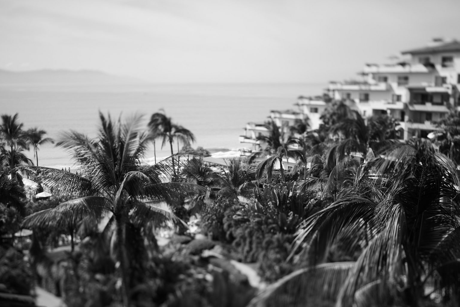 Carina & Ricardo — wedding at Grand Velas Riviera Nayarit, beachfront resort hotel