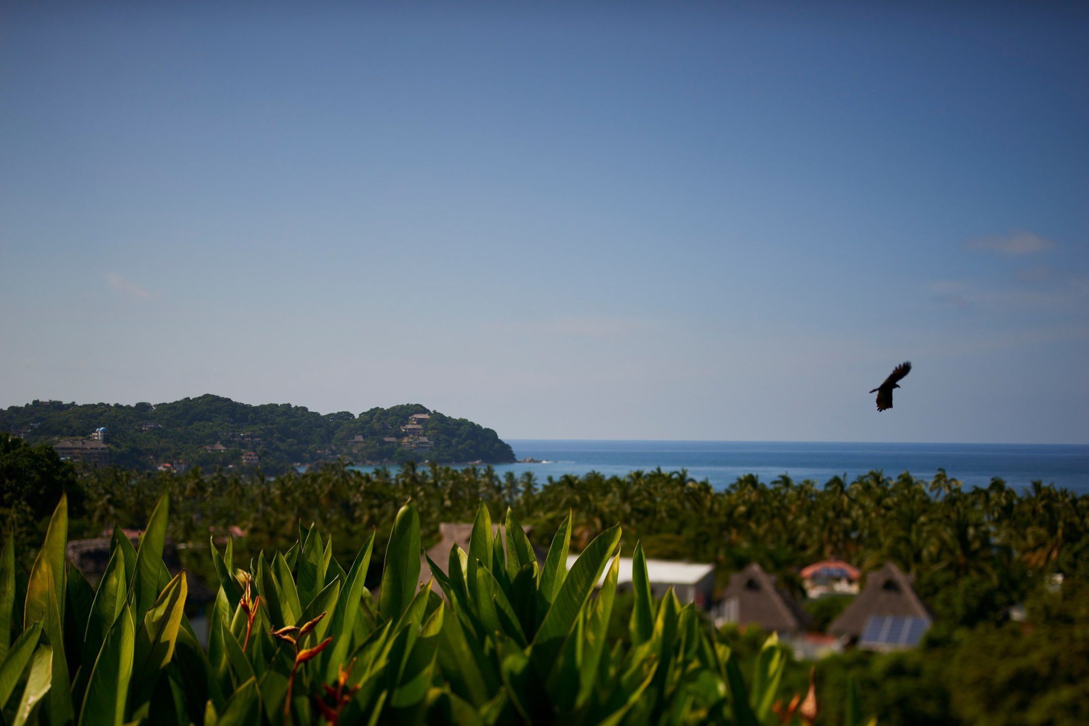 Wedding in Sayulita, Nayarit — Roy & Emily — photo 8