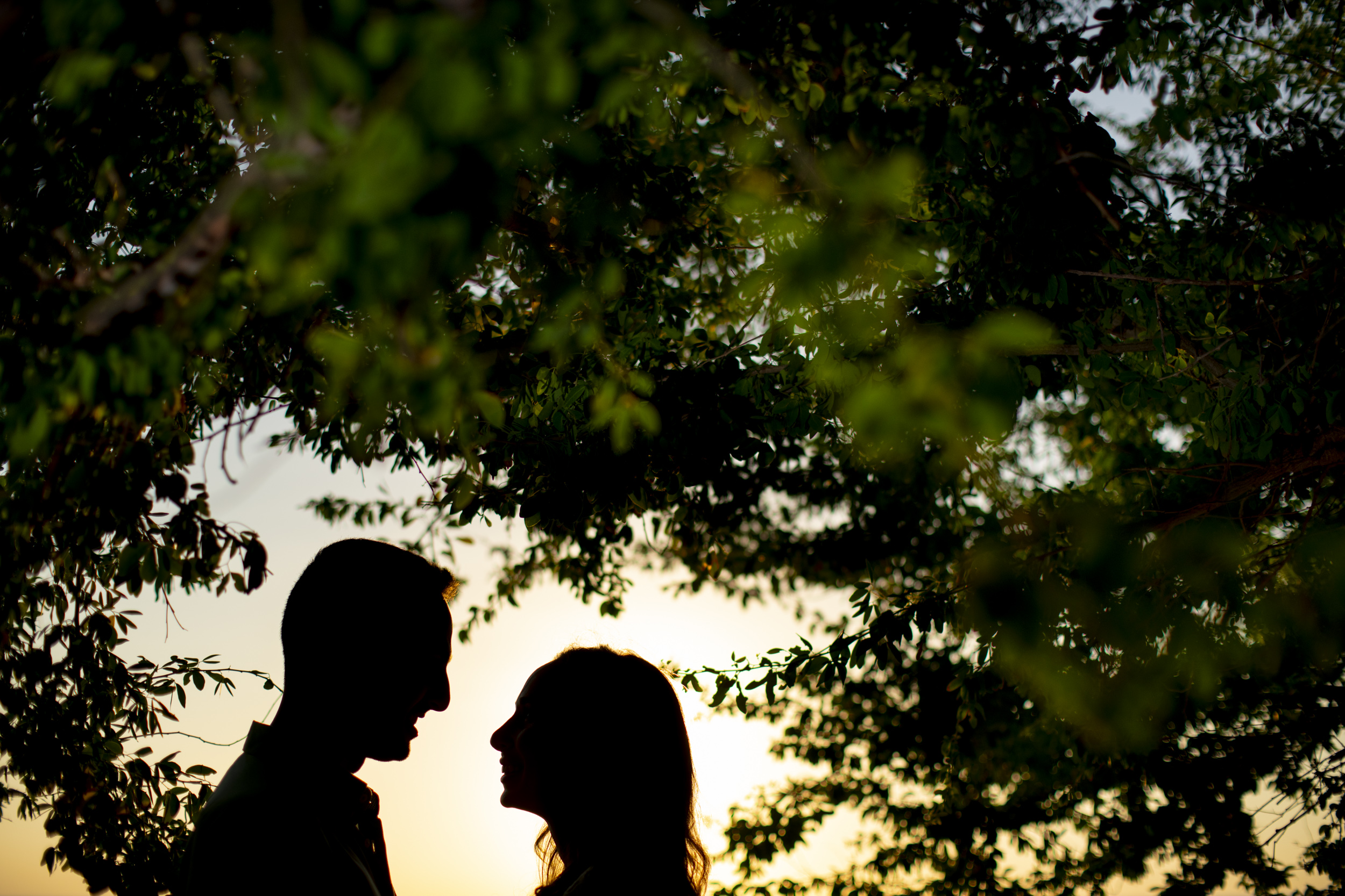 Silueta de la pareja bajo un árbol al atardecer, Puerto Vallarta