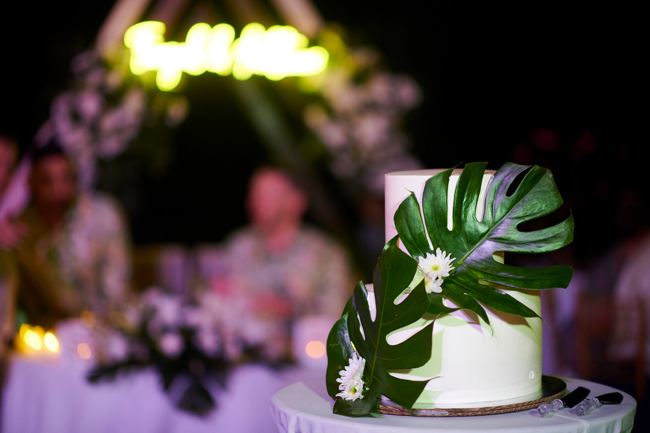Fiesta de boda LGBTQ+ sobre el Pacífico en Puerto Vallarta — Anthony & Farzad — foto 9