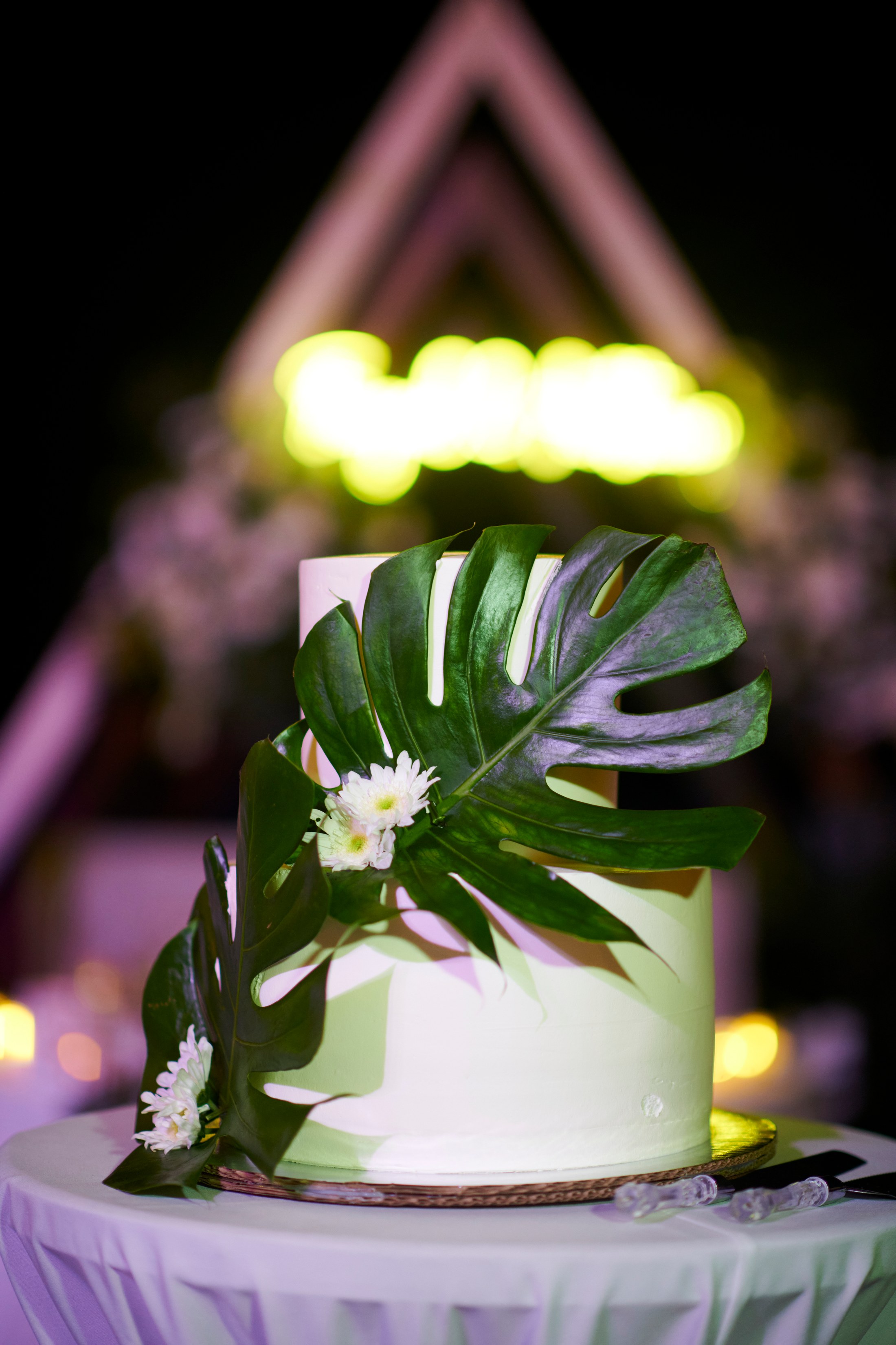 Fiesta de boda LGBTQ+ sobre el Pacífico en Puerto Vallarta — Anthony & Farzad — foto 10