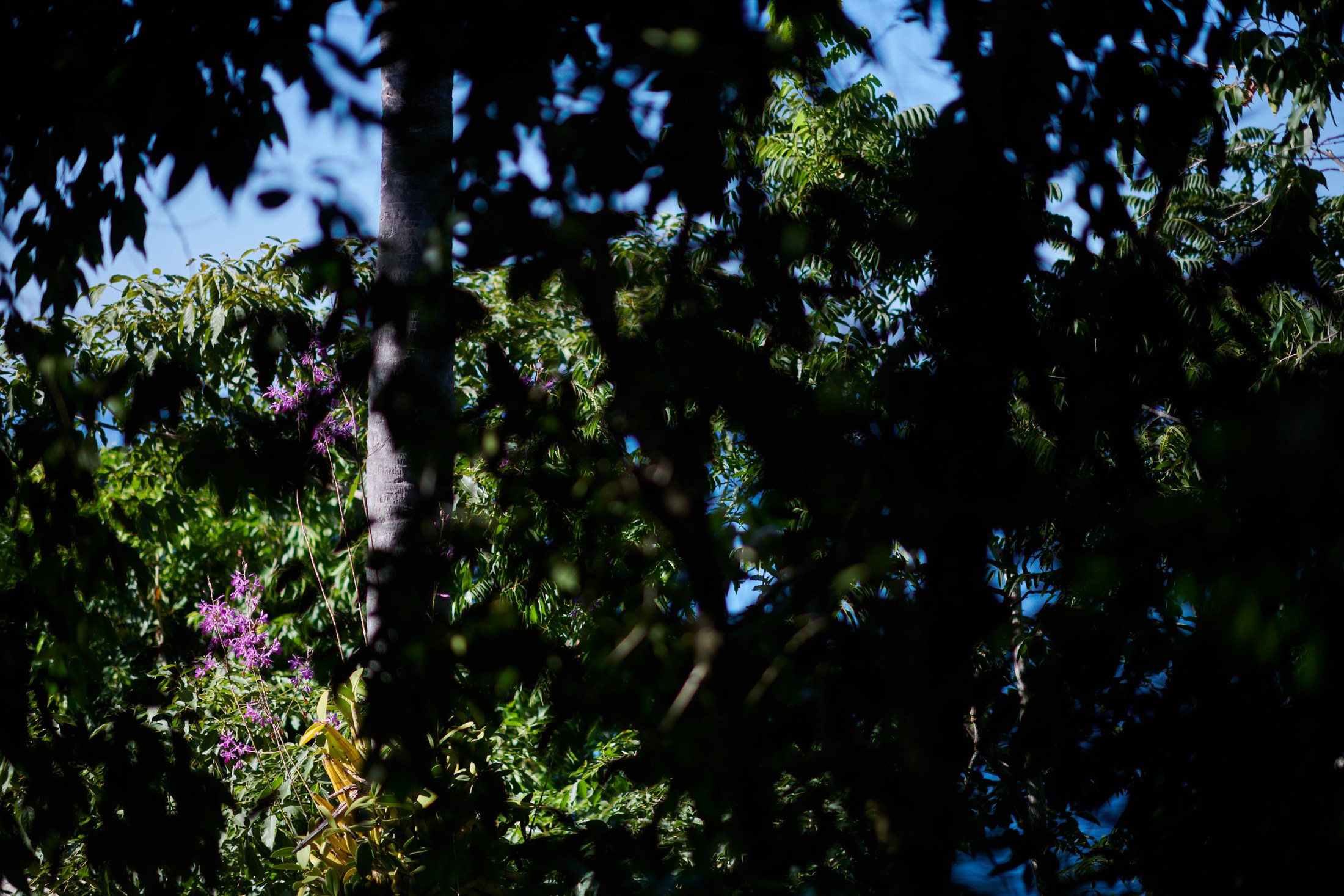 Wedding at Las Caletas, Puerto Vallarta — Christina & Ryan — photo 16
