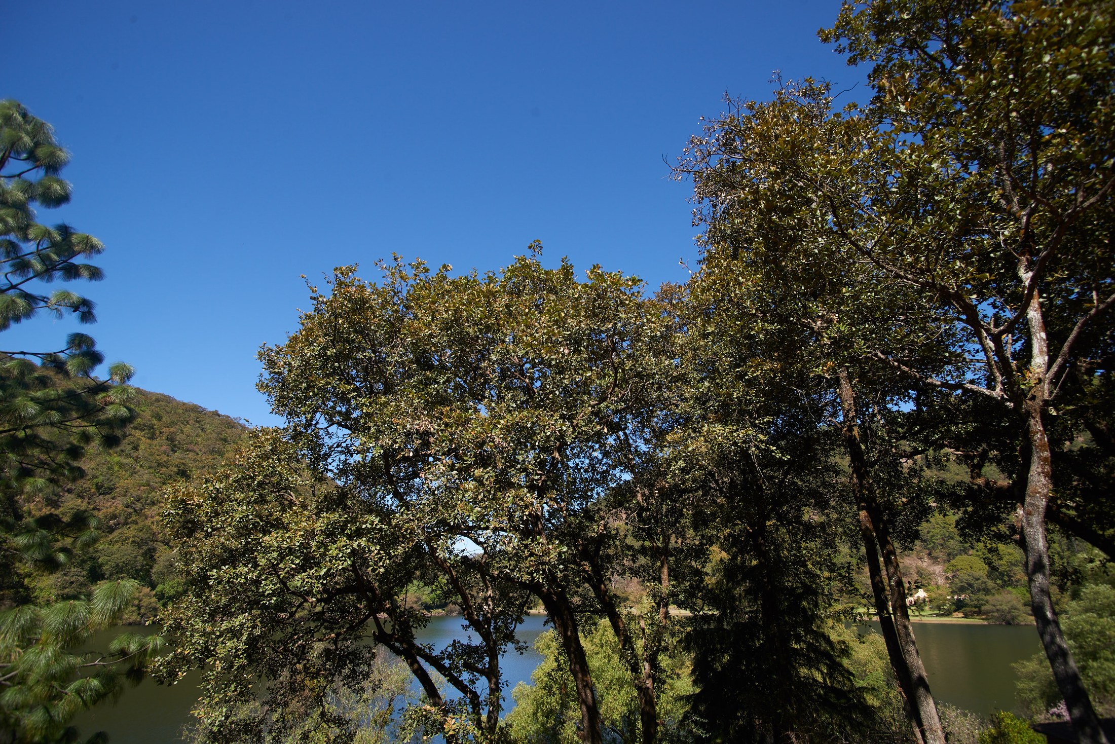 Wedding at Sierra Lago, Jalisco — Ilse & Joel — photo 2