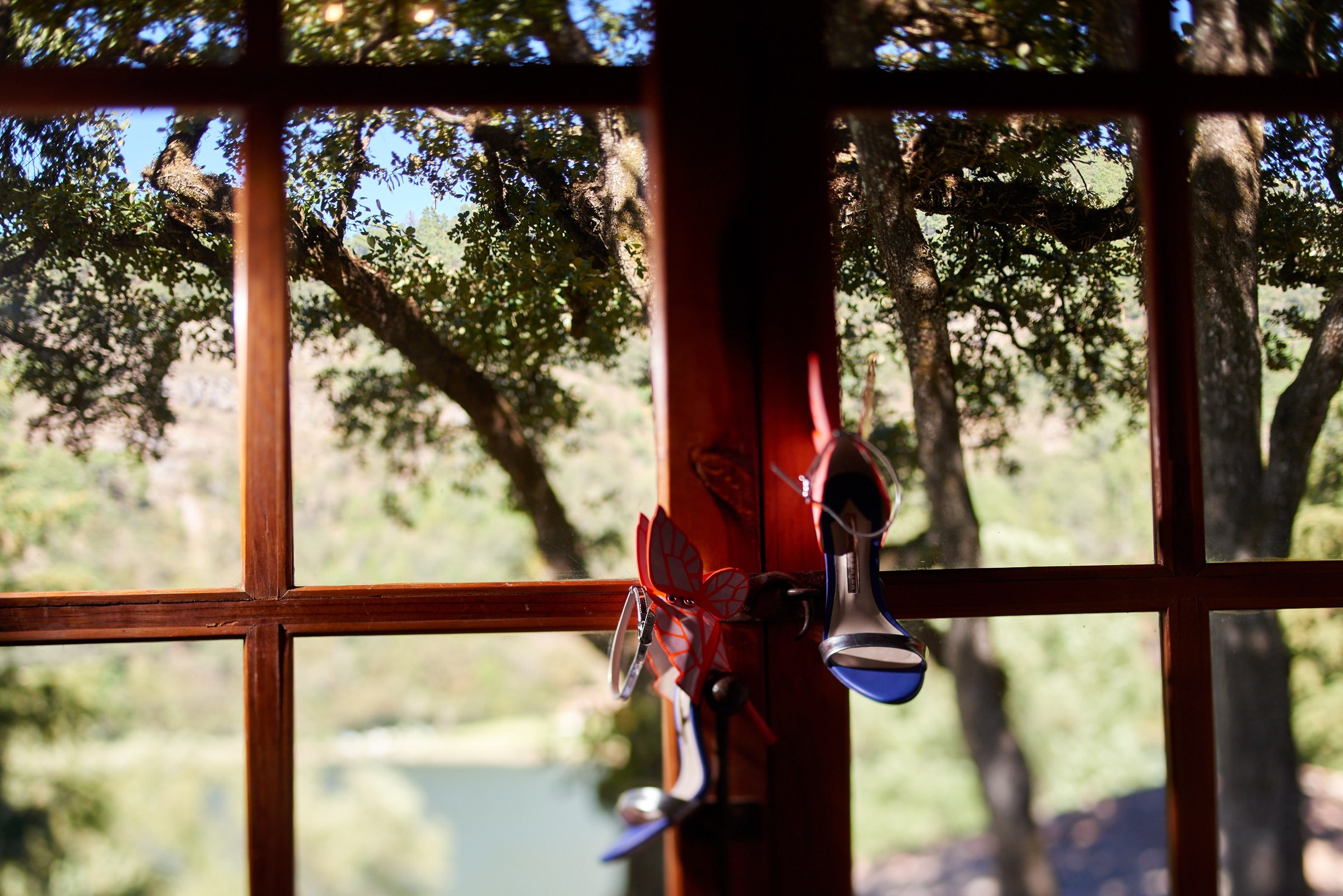 Wedding at Sierra Lago, Jalisco — Ilse & Joel — photo 12