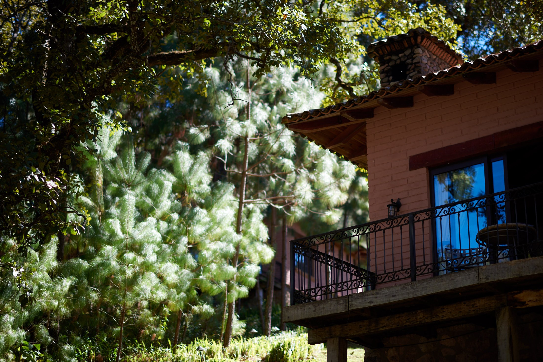 Wedding at Sierra Lago, Jalisco — Ilse & Joel — photo 22