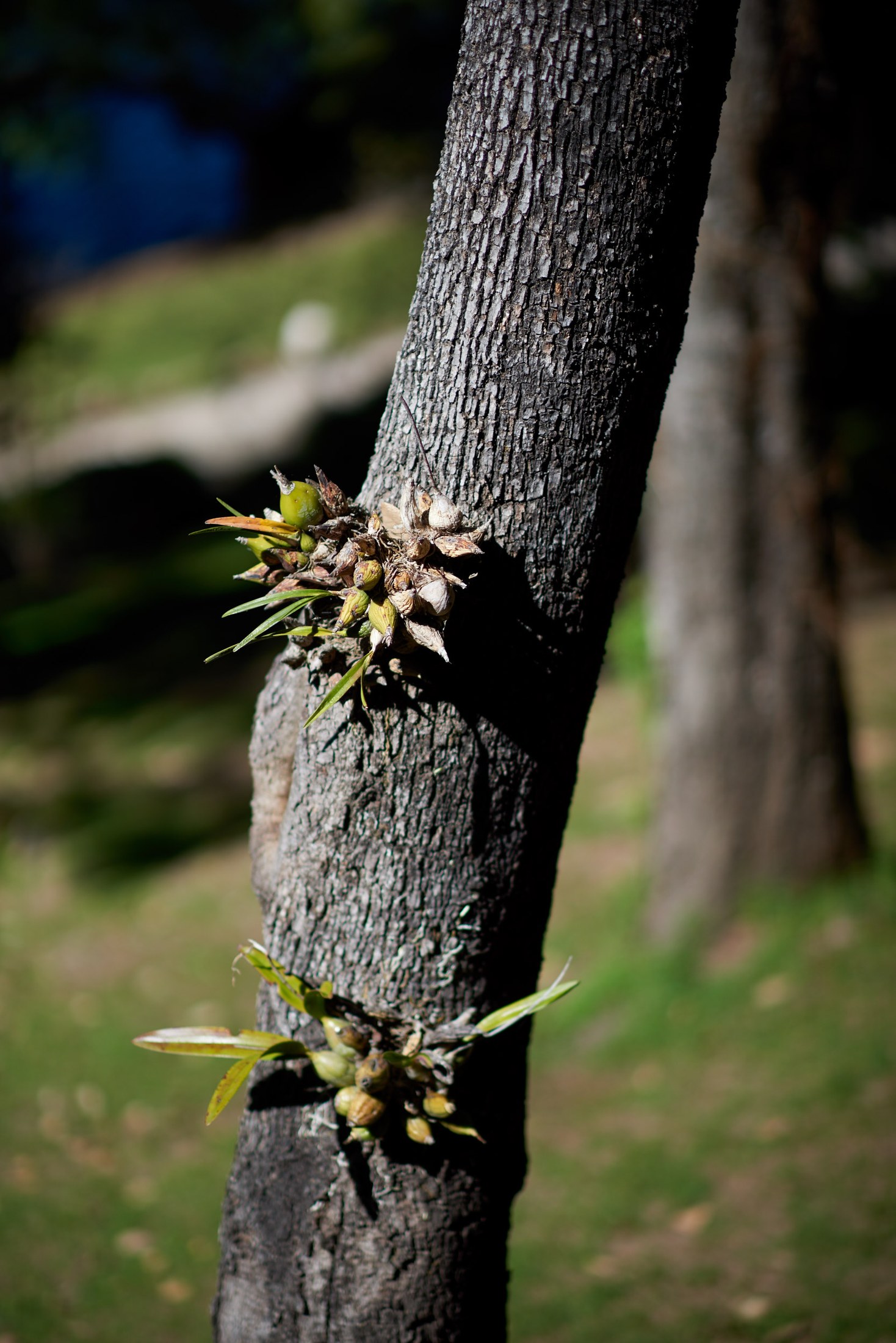 Wedding at Sierra Lago, Jalisco — Ilse & Joel — photo 26