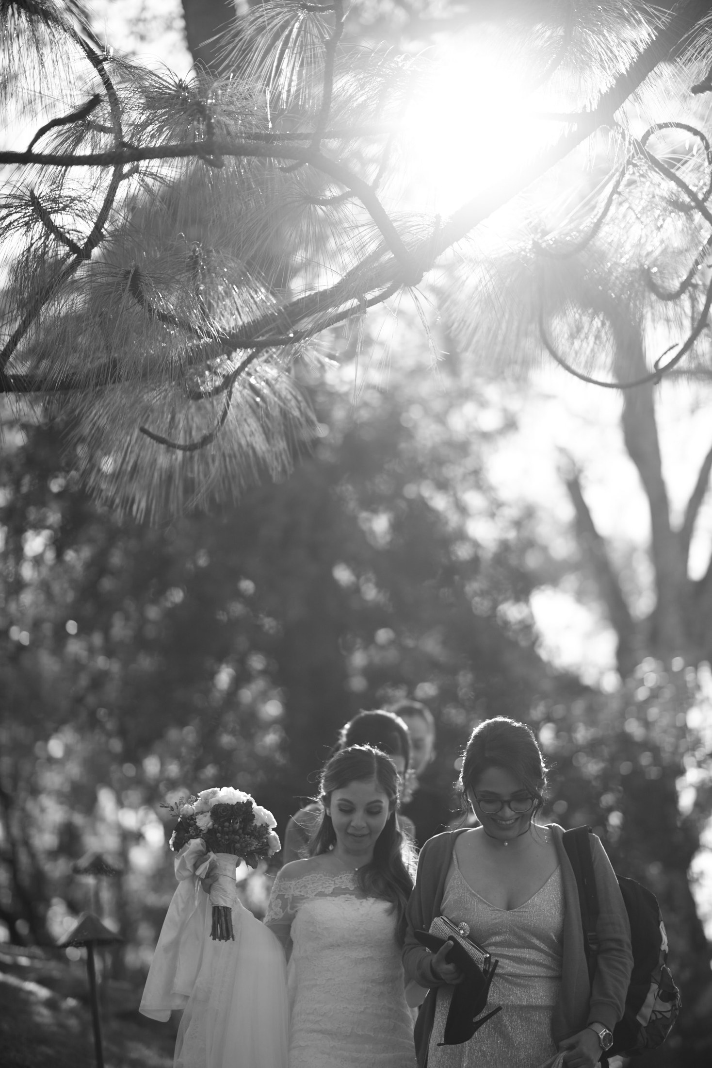 Wedding at Sierra Lago, Jalisco — Ilse & Joel — photo 45