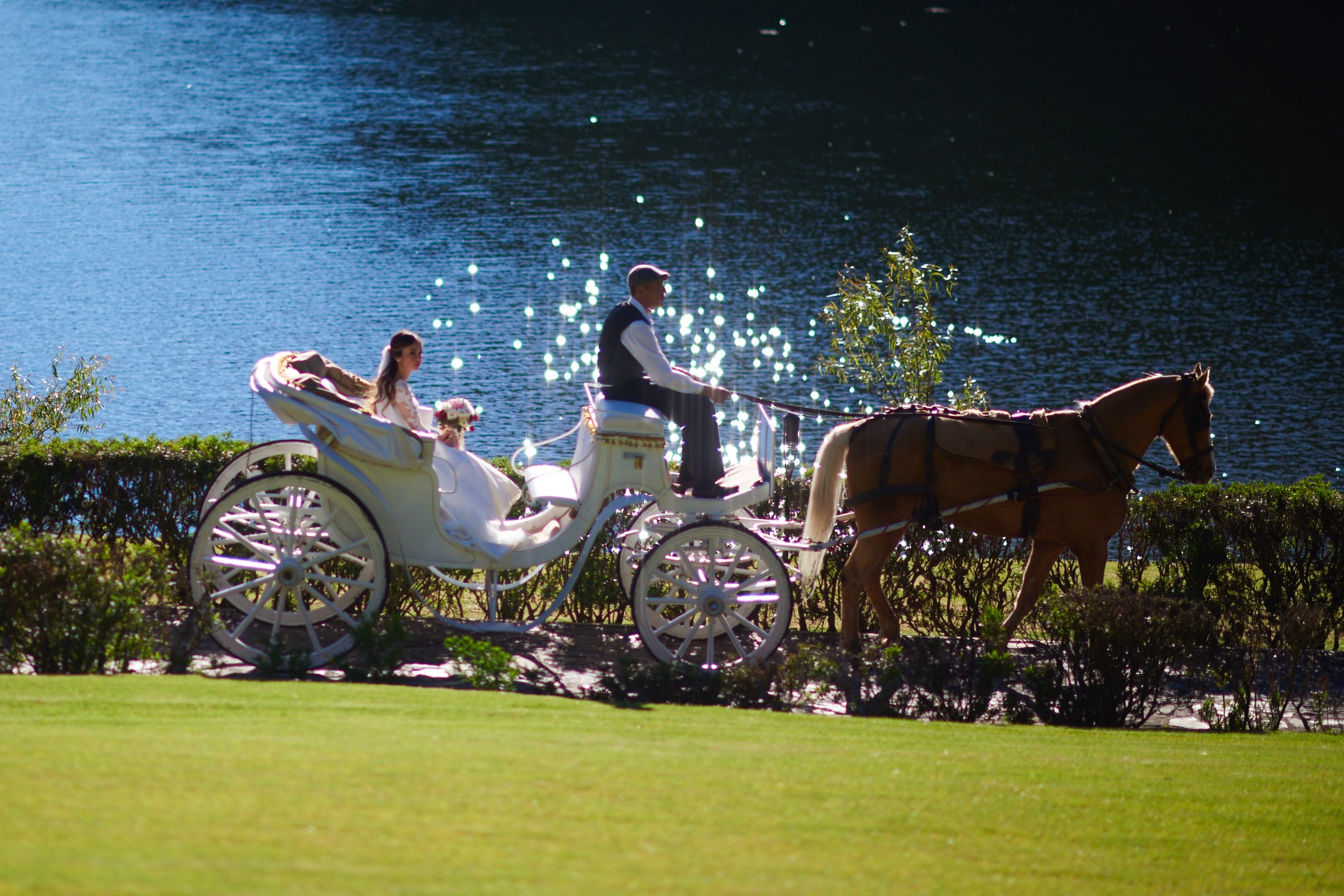 Wedding at Sierra Lago, Jalisco — Ilse & Joel — photo 53