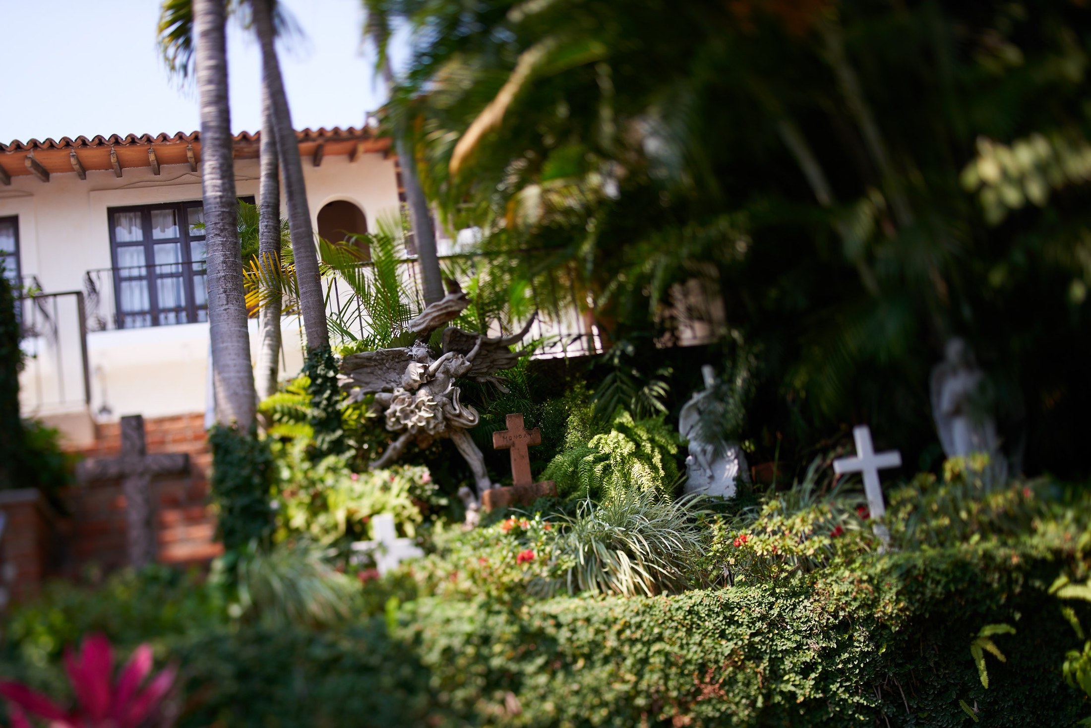 Wedding at Hacienda San Angel, Puerto Vallarta — Jeana & Wesley — photo 1