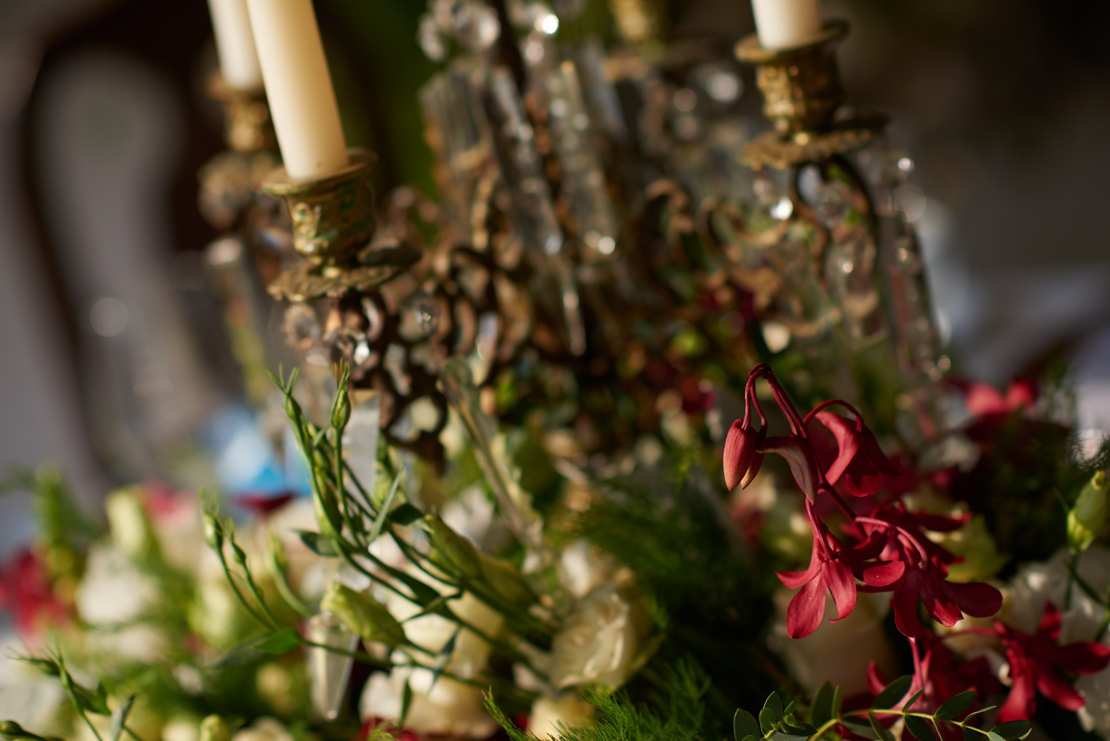 Wedding at Hacienda San Angel, Puerto Vallarta — Jeana & Wesley — photo 69