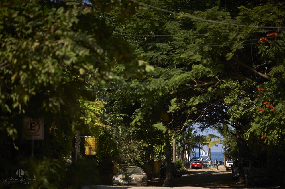 Destination wedding in Puerto Vallarta — Kris & Chelsea, photo 0