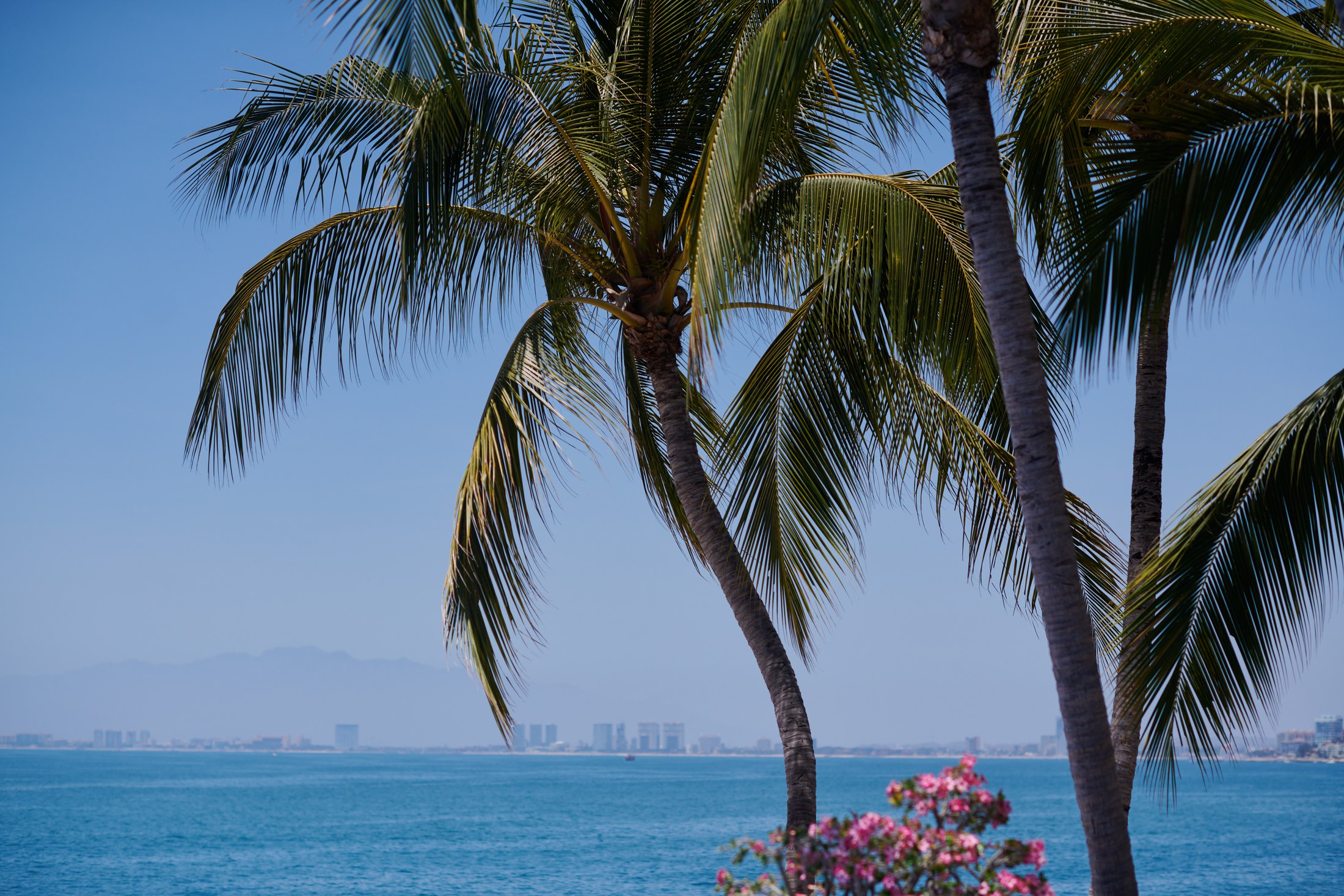 Villa La Mansión, terrasse de mariage au-dessus de la baie de Banderas, Puerto Vallarta — Mario & Keith — photo 1