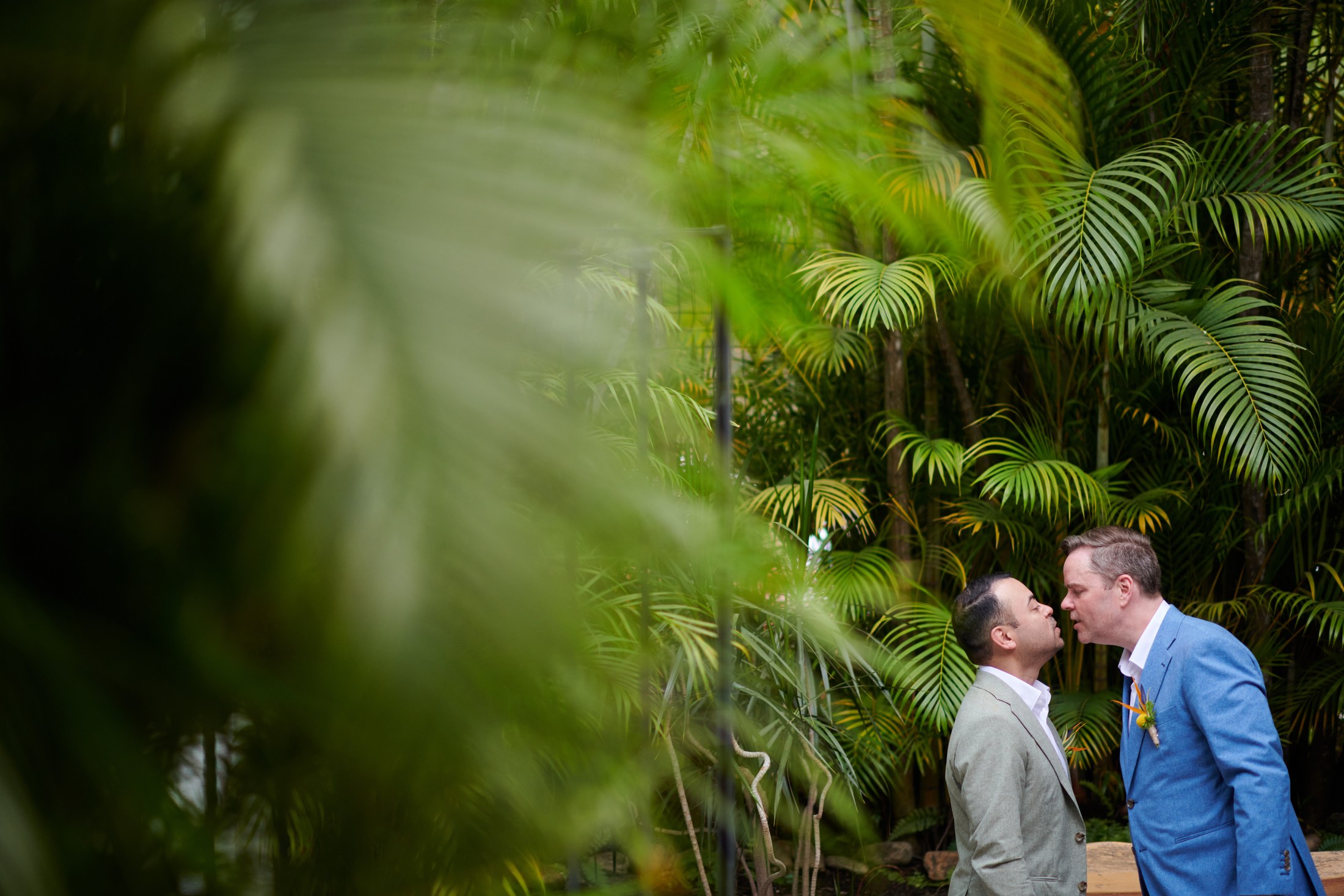 Soirée de mariage LGBTQ+ à la Villa La Mansión, Puerto Vallarta — Mario & Keith — photo 9