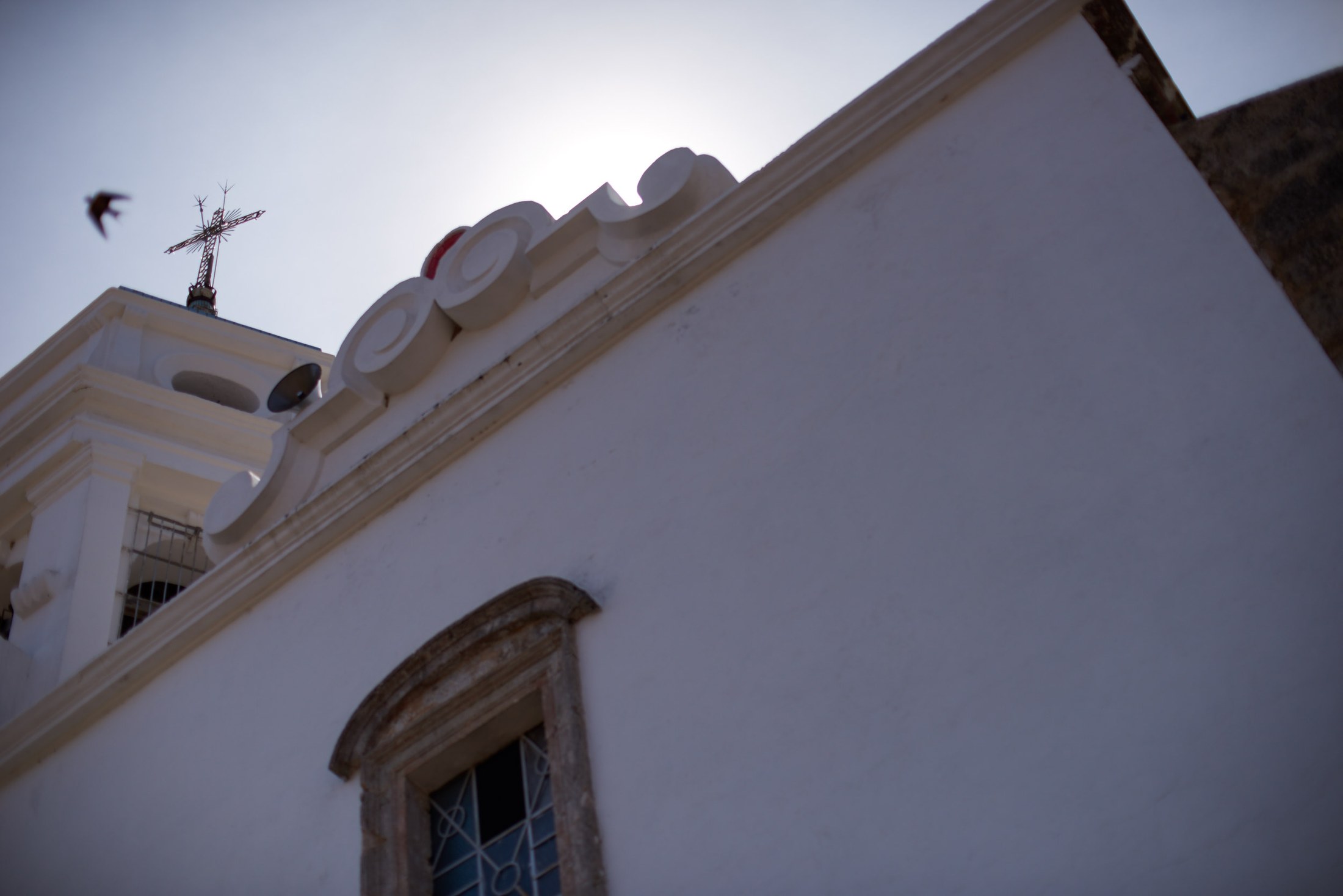 Wedding in San Sebastián del Oeste, Jalisco — Paulina & Manuel — photo 22