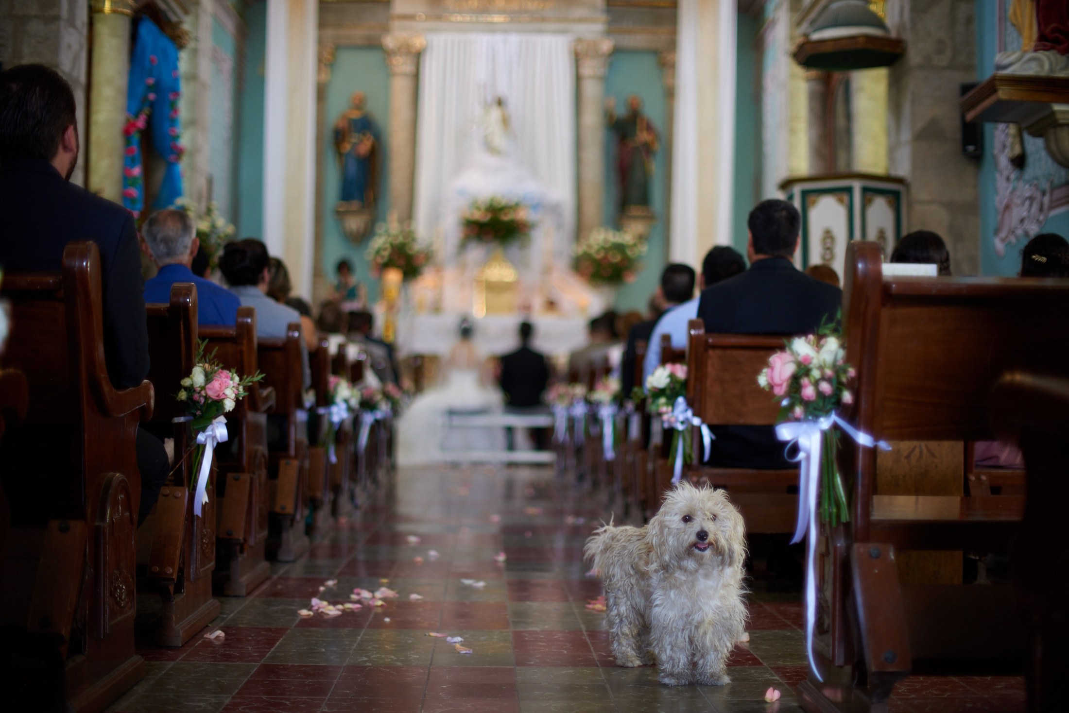 Wedding in San Sebastián del Oeste, Jalisco — Paulina & Manuel — photo 31
