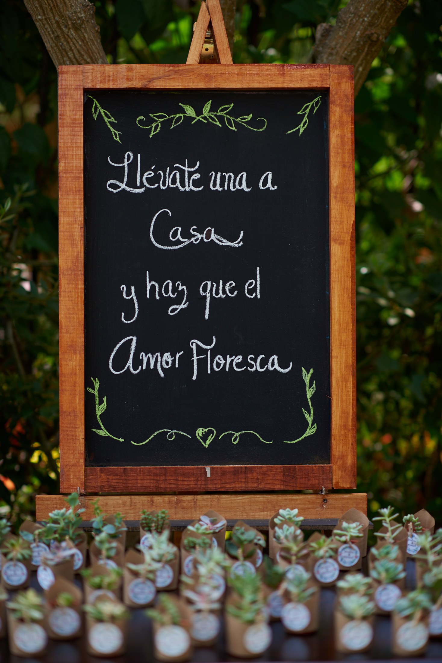Wedding in San Sebastián del Oeste, Jalisco — Paulina & Manuel — photo 103