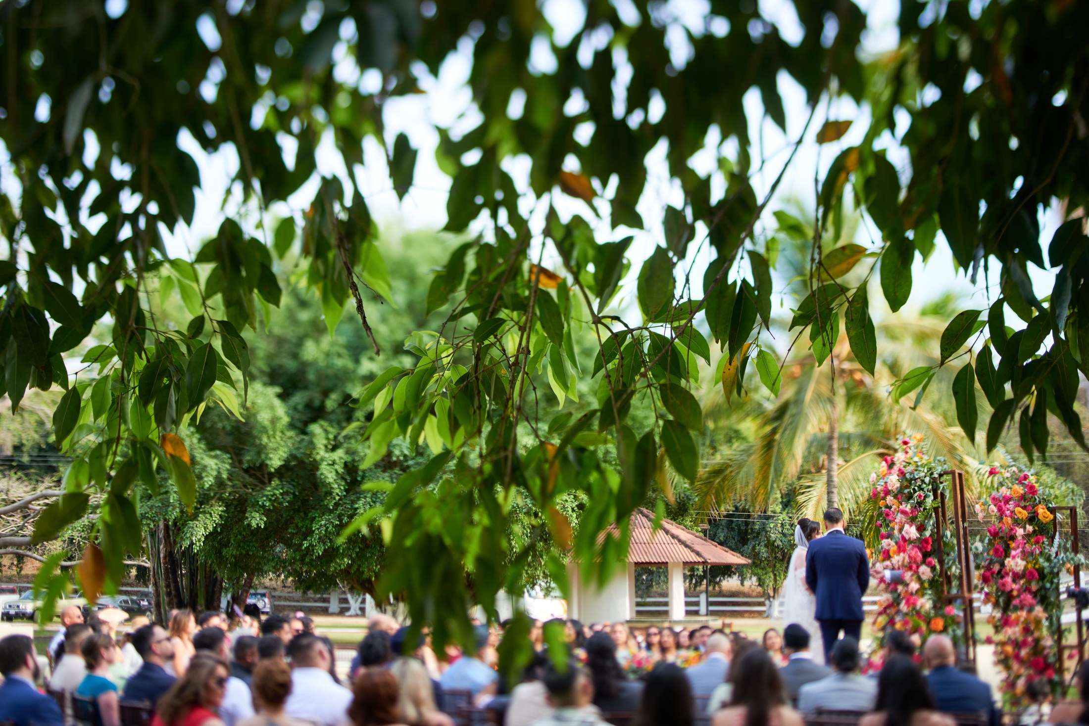 Boda india y mexicana en la destilería de agave Finca 18, Las Juntas, Puerto Vallarta — Raj & Jocelyn — photo 38