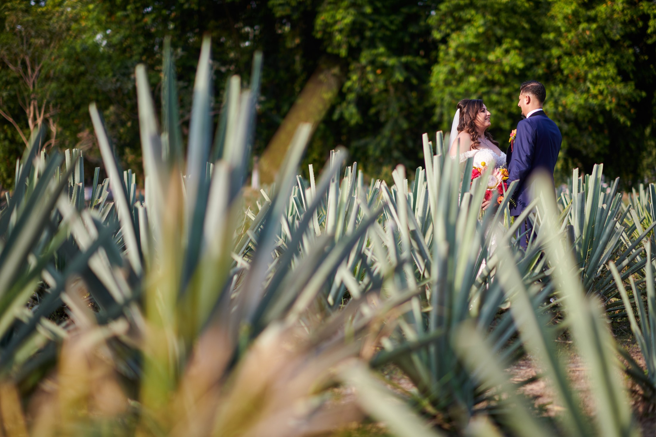 Boda india y mexicana en la destilería de agave Finca 18, Las Juntas, Puerto Vallarta — Raj & Jocelyn — photo 61