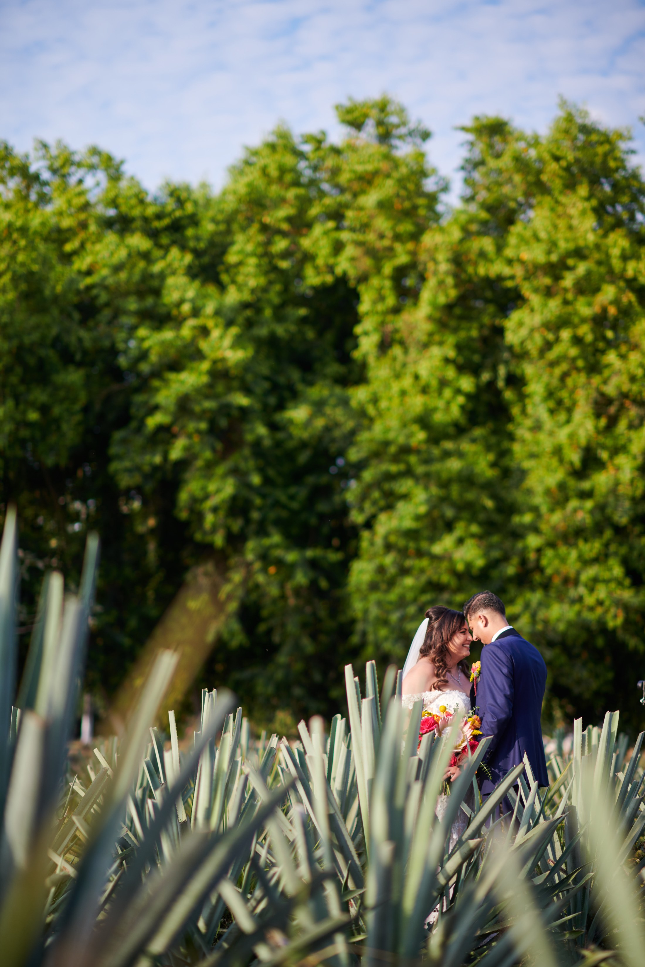Boda india y mexicana en la destilería de agave Finca 18, Las Juntas, Puerto Vallarta — Raj & Jocelyn — photo 62