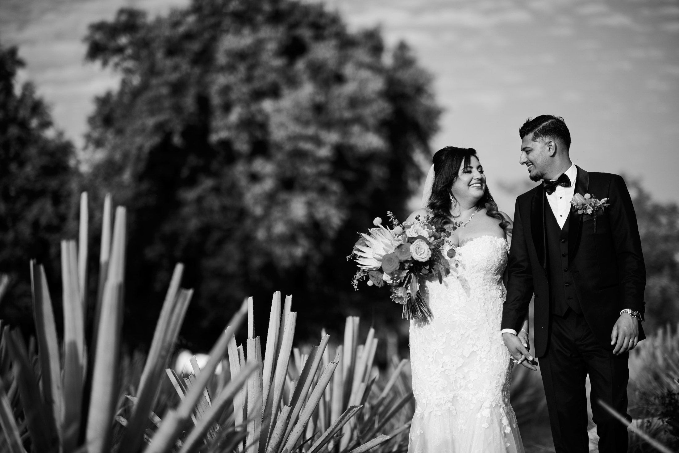 Boda india y mexicana en la destilería de agave Finca 18, Las Juntas, Puerto Vallarta — Raj & Jocelyn — photo 64