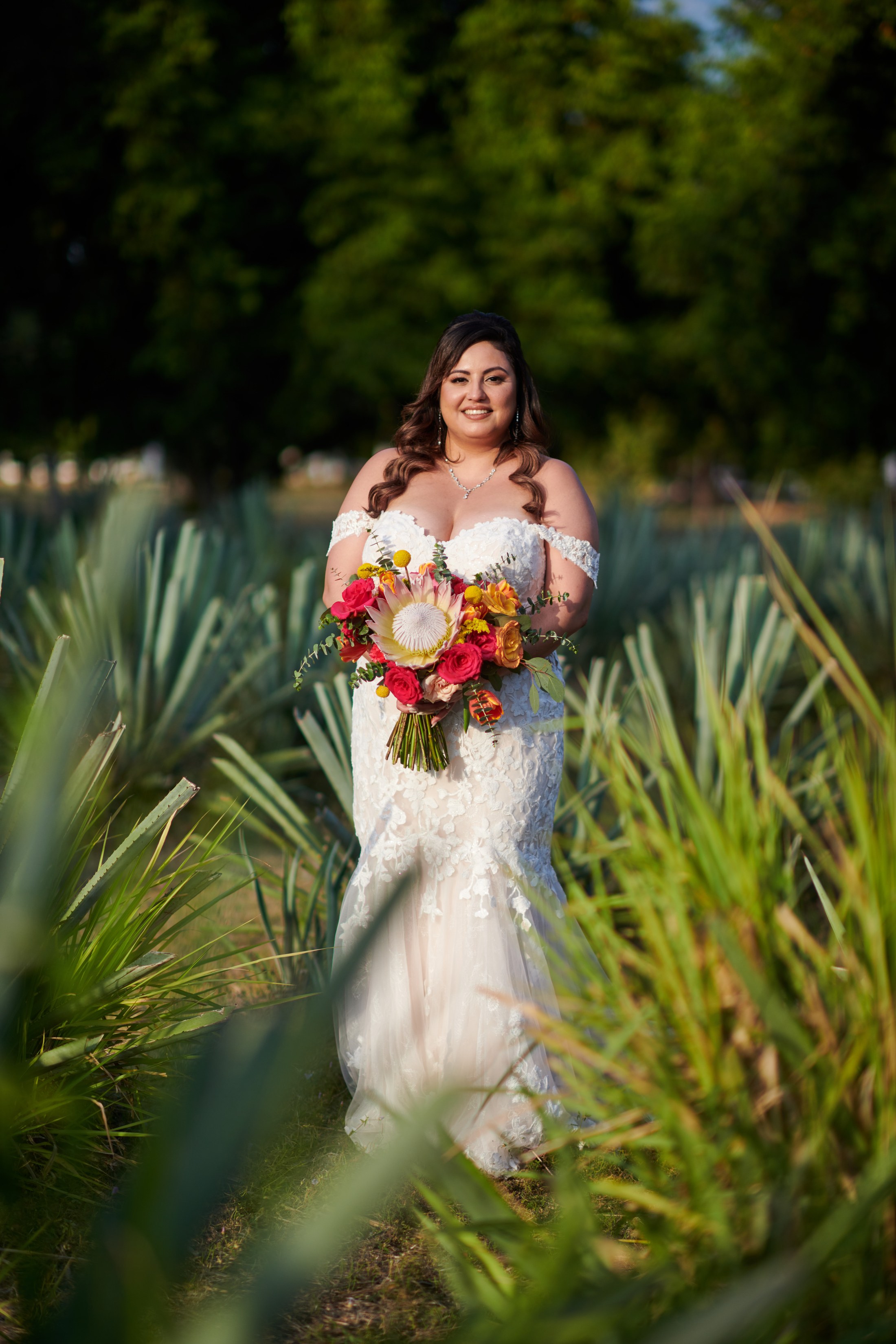 Boda india y mexicana en la destilería de agave Finca 18, Las Juntas, Puerto Vallarta — Raj & Jocelyn — photo 68