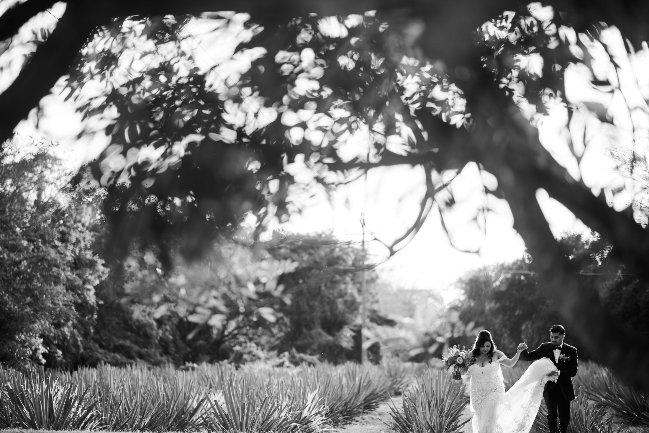 Ceremonia de boda en la destilería de agave Finca 18, Las Juntas, Puerto Vallarta — Julien Leveau