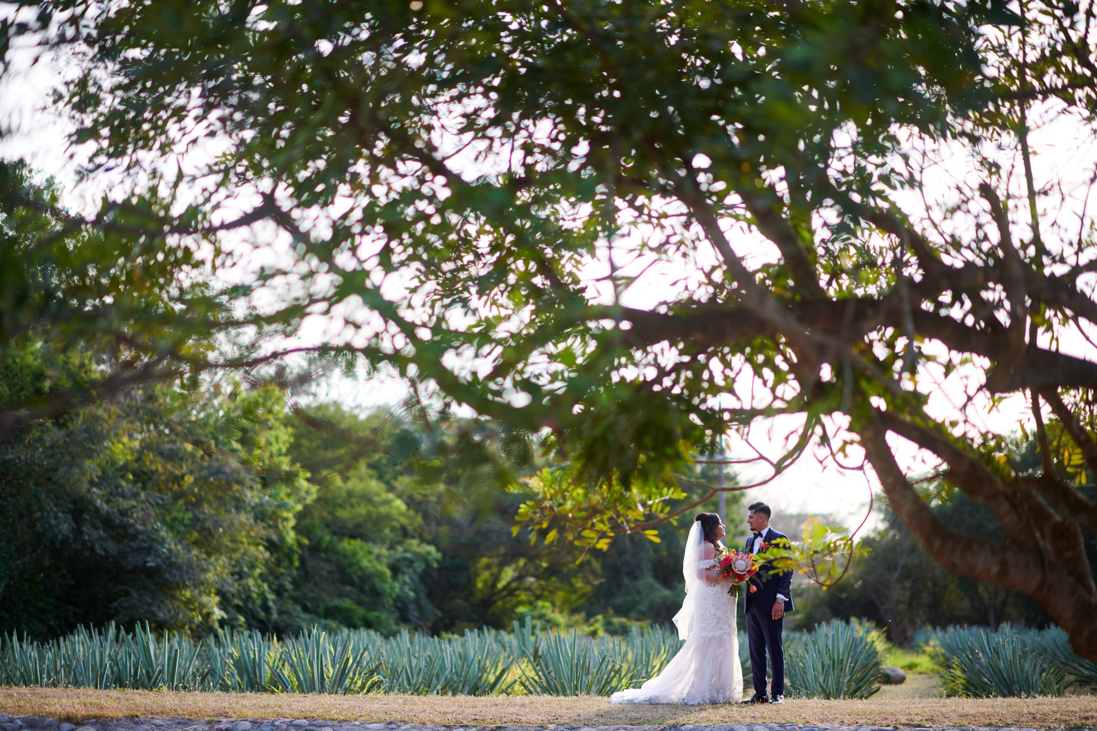 Boda india y mexicana en la destilería de agave Finca 18, Las Juntas, Puerto Vallarta — Raj & Jocelyn — photo 71