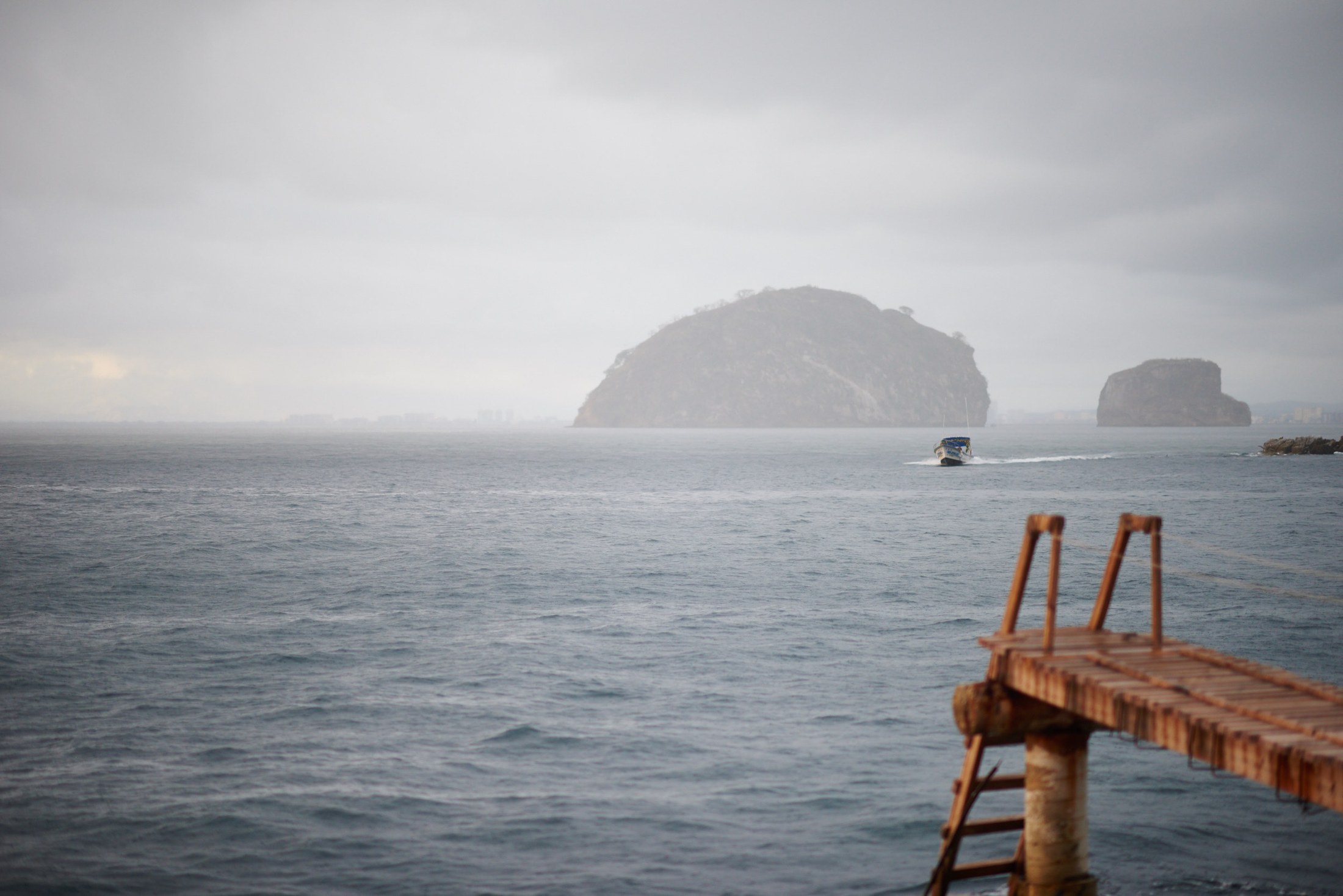 Mariage en saison des pluies, Puerto Vallarta — Rich & Rigo — photo 44