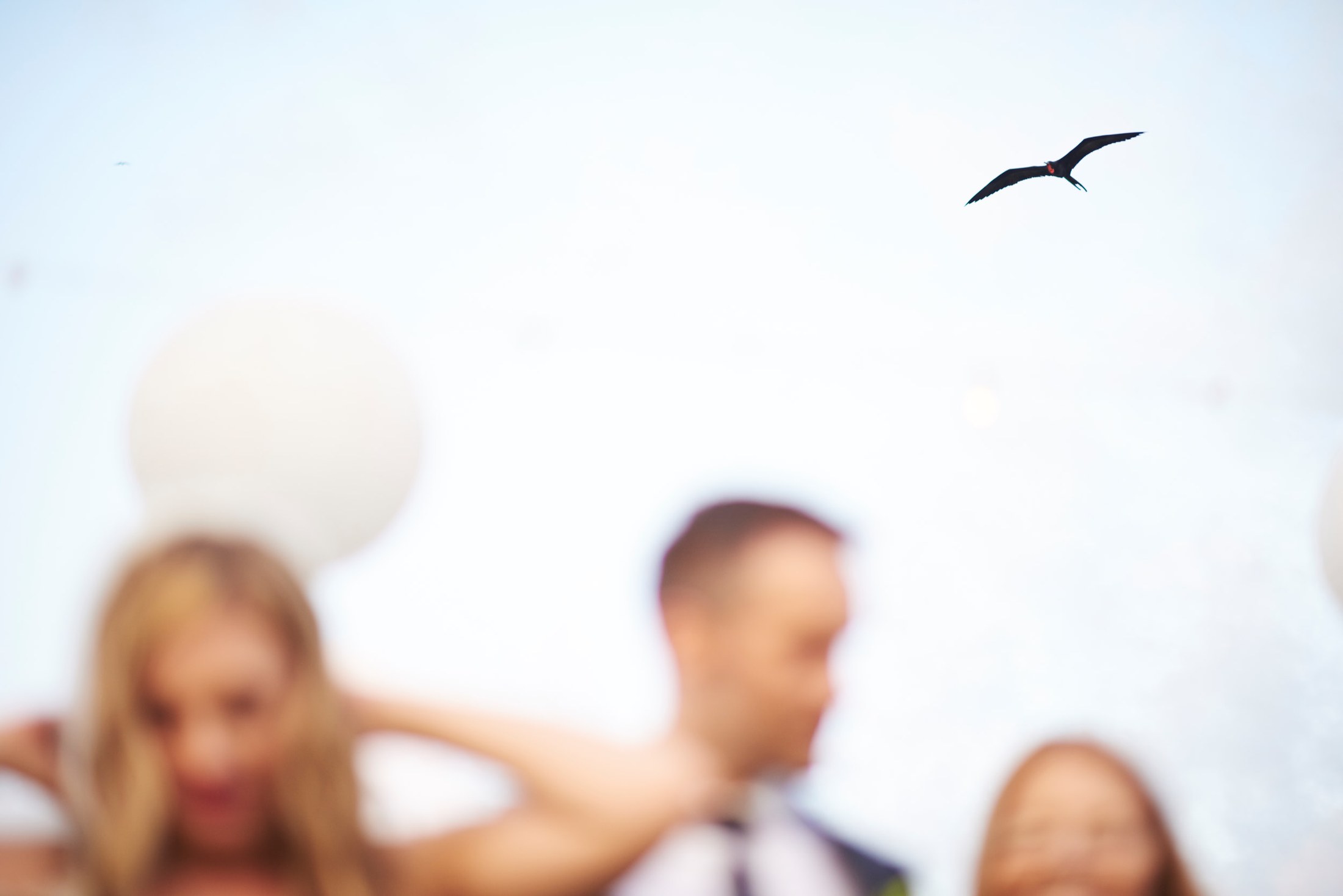 Wedding in Sayulita, Nayarit — Roy & Emily — photo 129