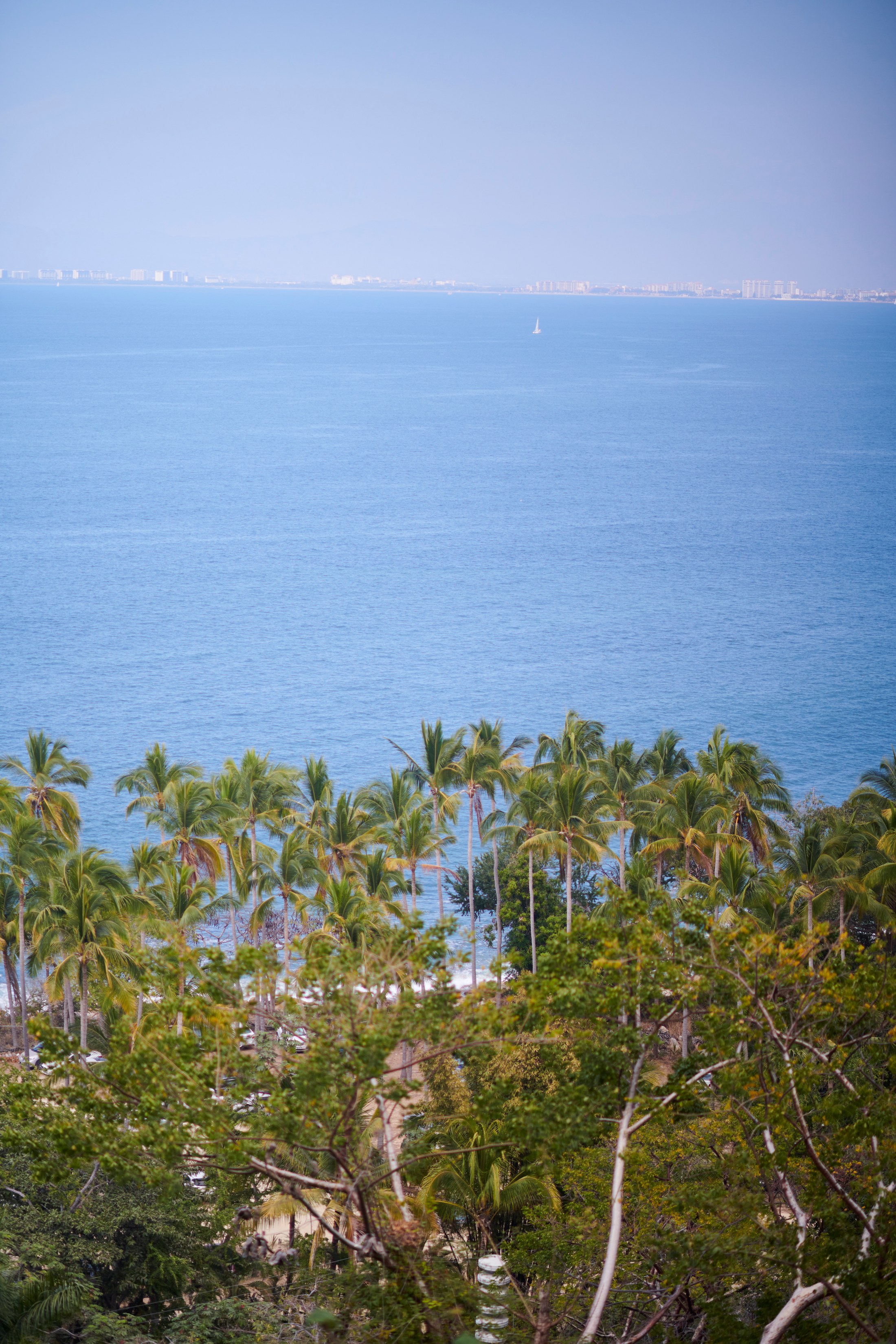 Decoración de boda en el Hotel Mousai, Puerto Vallarta — Sean & Dani — foto 4