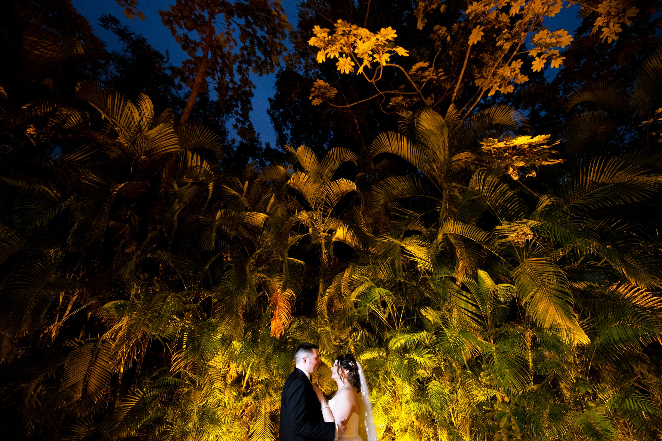 Ceremonia de boda en la terraza del Hotel Mousai, Puerto Vallarta — Sean & Dani — foto 31