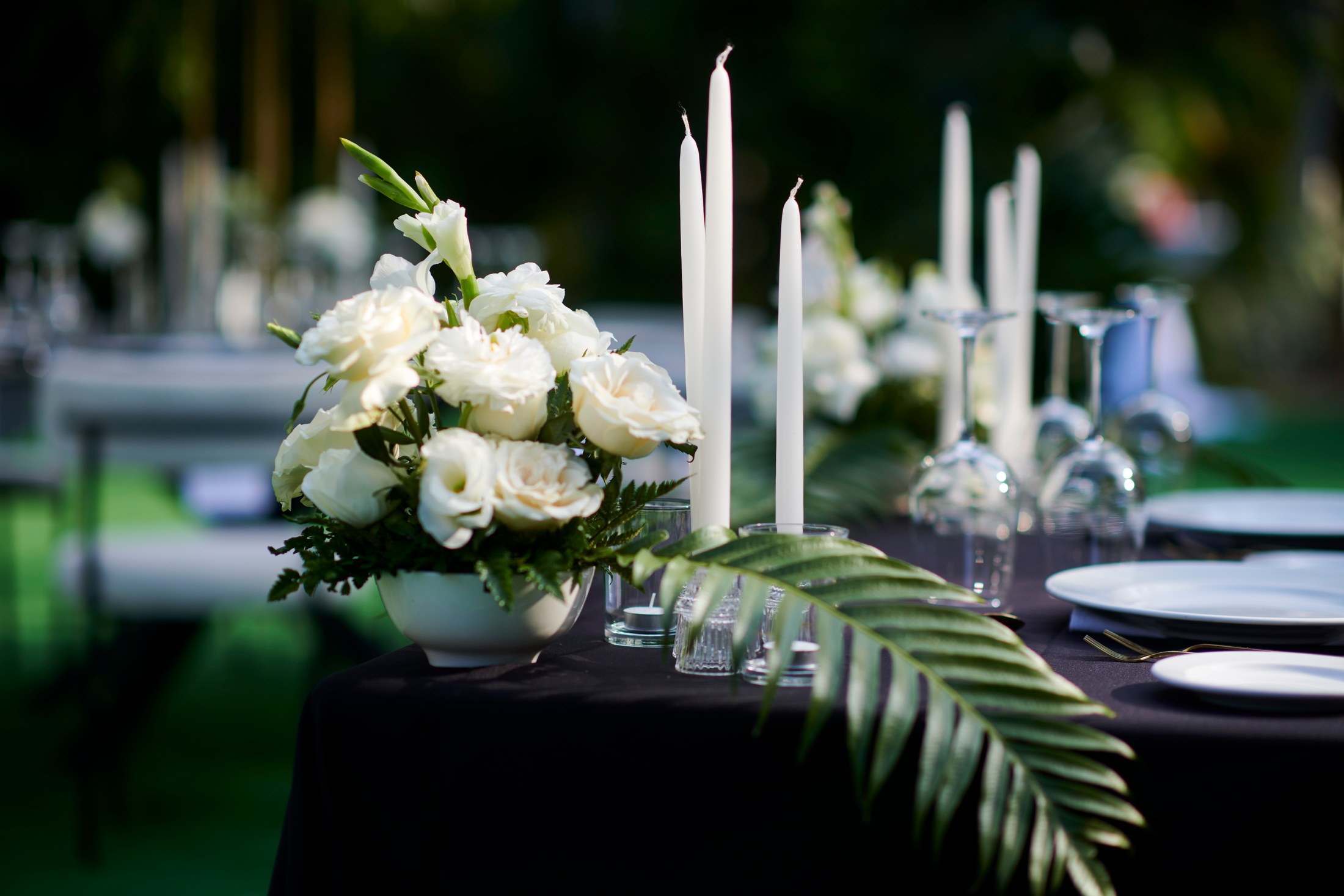 Fiesta de boda en el Hotel Mousai, Puerto Vallarta — Sean & Dani — foto 43
