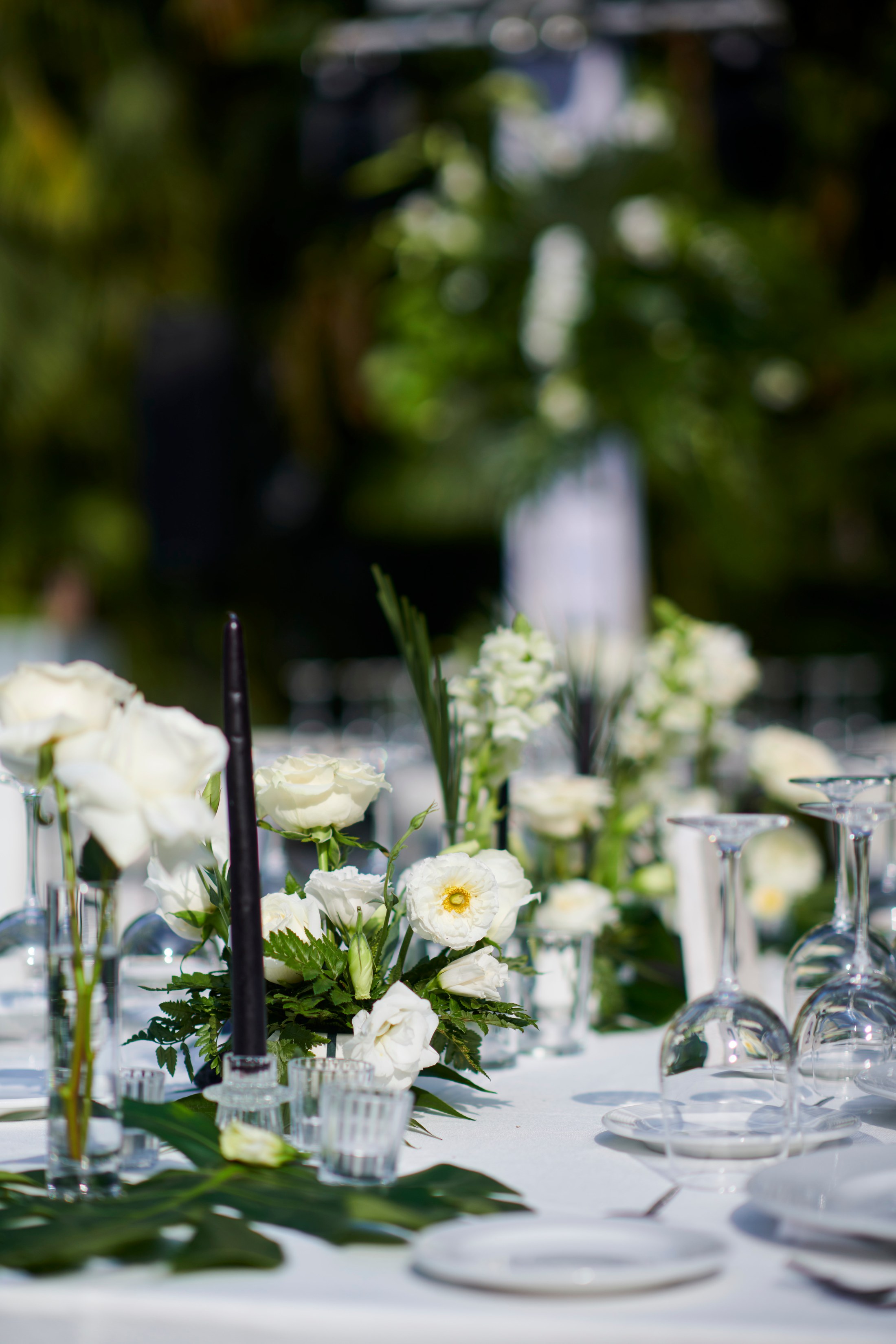 Fiesta de boda en el Hotel Mousai, Puerto Vallarta — Sean & Dani — foto 44