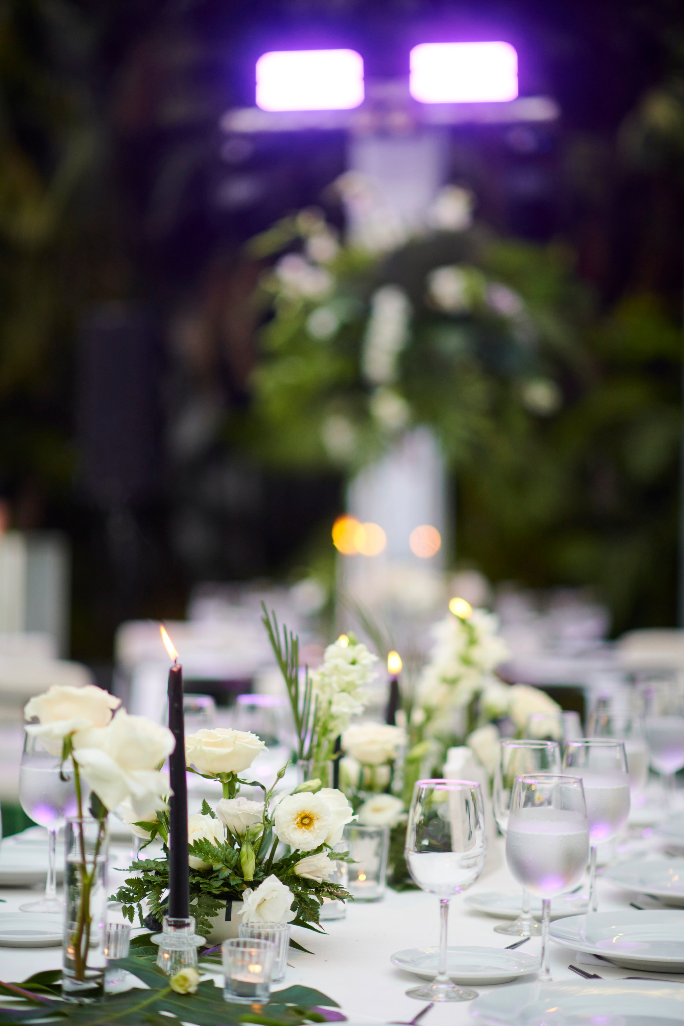 Fiesta de boda en el Hotel Mousai, Puerto Vallarta — Sean & Dani — foto 45