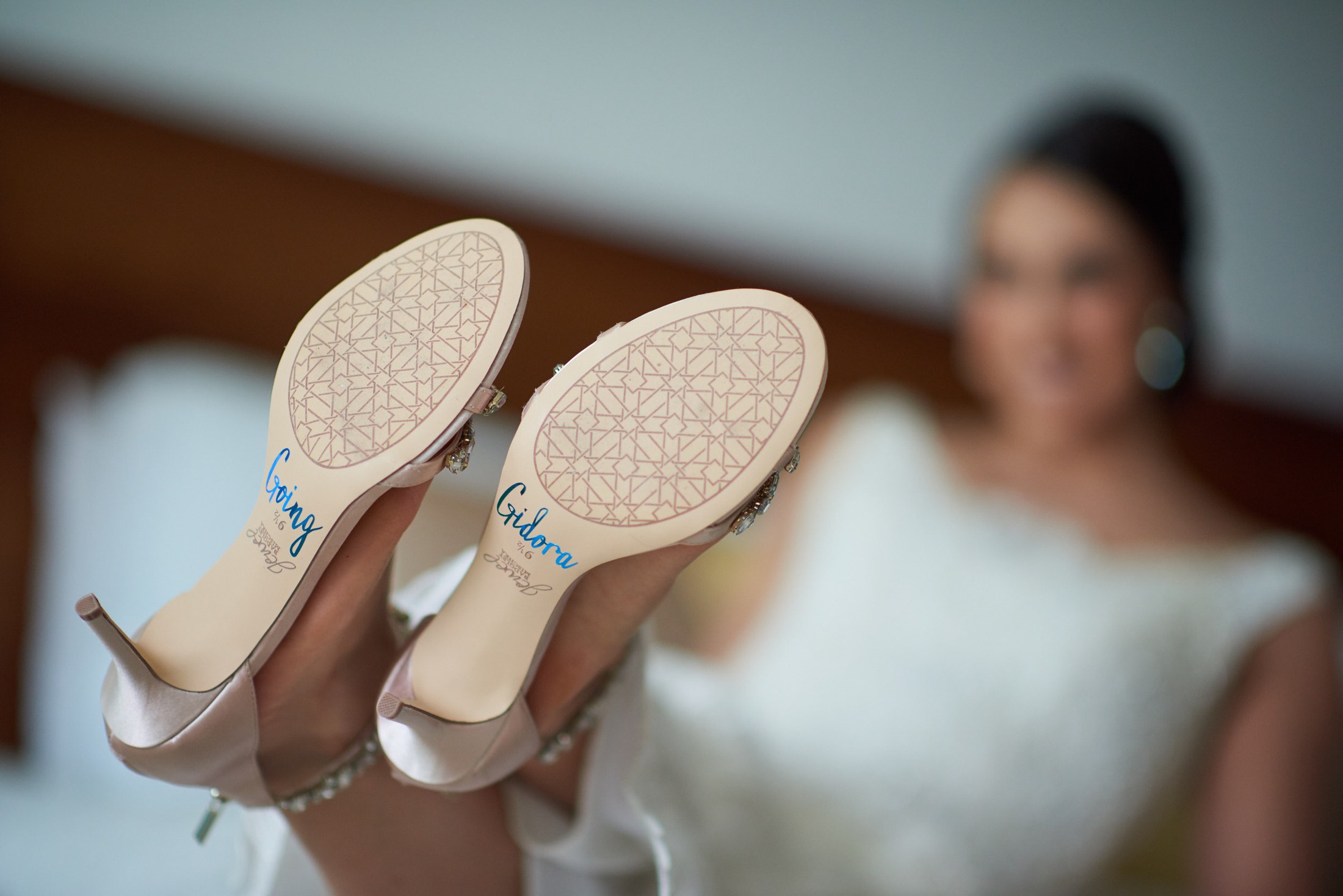 Boda en Terra Noble, Puerto Vallarta — Zifa y Daniel — foto 80
