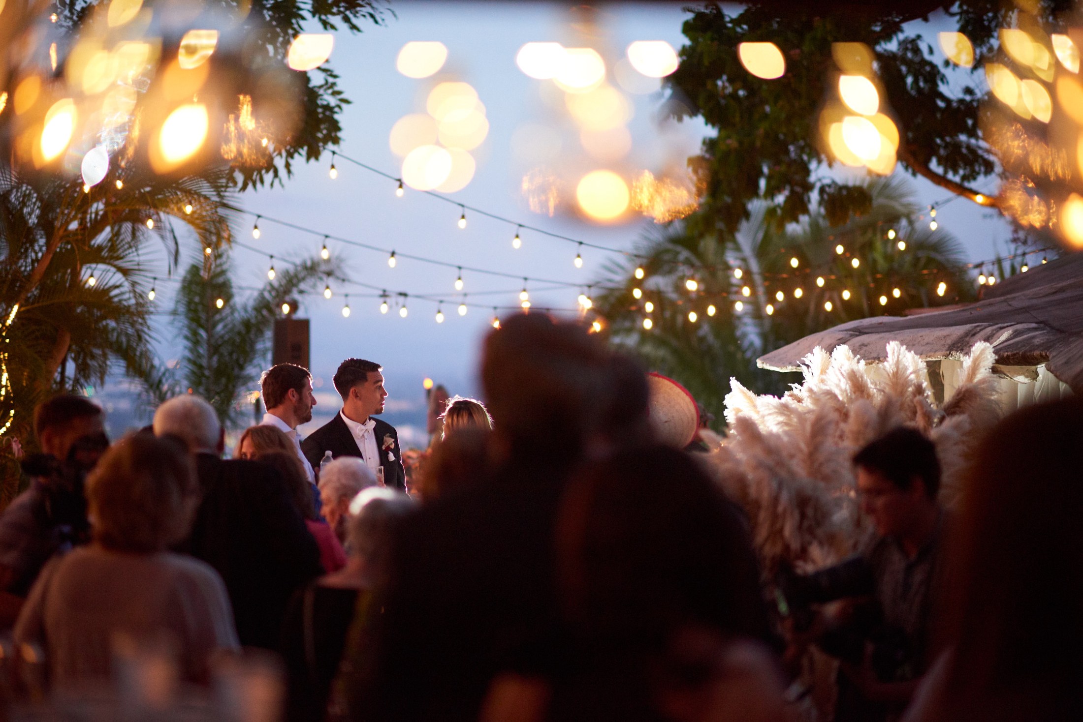Boda en Terra Noble, Puerto Vallarta — Zifa y Daniel — foto 125
